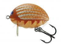 Esche Salmo Lil`Bug BG2F - May Fly (MFL)