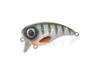 Esca Spro Fat Iris 50 10g - Herring