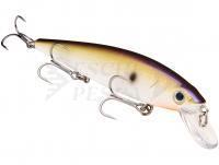 Esche Strike King KVD 300 Jerkbait 12cm 14.2g - TN Shad 2.0