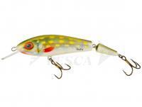 Esca Vidra Lures Apex 12 Jointed 12cm 23g - PK