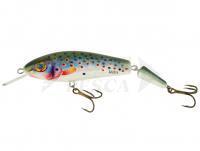 Esca Vidra Lures Apex 12 Jointed 12cm 23g - RBT