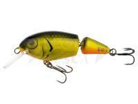 Esche Vidra Lures Perpetual Jointed | 6.50 cm 11 g F - FYB