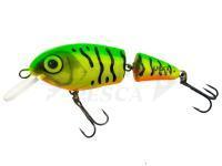 Esche Vidra Lures Perpetual Jointed | 6.50 cm 11 g F - FT