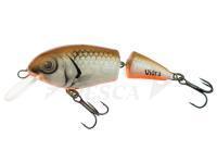 Esche Vidra Lures Perpetual Jointed | 6.50 cm 11 g F - BR