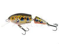 Esche Vidra Lures Perpetual Jointed | 6.50 cm 11 g F - RVT