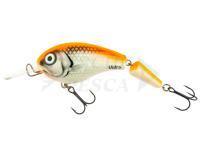 Esche Vidra Lures Nautilus DR Jointed | 8.50 cm 11 g F - SFO