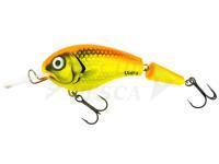 Esche Vidra Lures Nautilus DR Jointed | 8.50 cm 11 g F - FYO