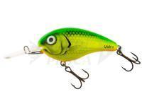 Esche Vidra Lures Nautilus Deep Runner | 6 cm 13 g DR F - FYG