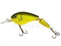 Esche Vidra Lures Nautilus DR Jointed | 8.50 cm 11 g F - FYB