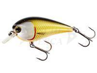 Westin BassBite Squarebill BassBite 1.5 | 6cm 13g - Official Roach