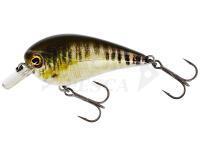 Westin BassBite Squarebill BassBite 1.5 | 6cm 13g - Real Minnow