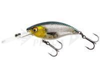 Hard Lure Westin BuzzBite Crankbait 4cm 4g Low Floating - 3D Headlight