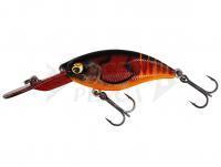 Hard Lure Westin BuzzBite Crankbait 4cm 4g Low Floating - Fire Craw