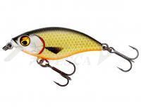 Esca Westin BuzzBite SR Crankbait 4cm 4g Low Floating - Official Roach