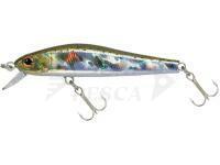 Esca Zipbaits Rigge 56 SP - 810