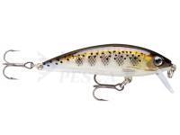 Esca Rapala X-Rap CountDown 5cm - Muddler