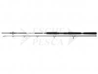 Canna Daiwa BG Offshore Boat 2.40m 150-400g