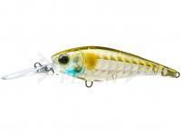 Esca Yo-zuri 3DR-X Shad 60mm 6g - R1438-GSAY Ghost Ayu