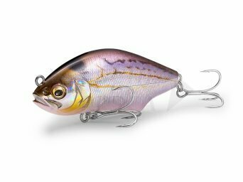 Megabass, Penn, Preston