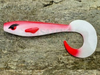 Shimano, Favorite, Great Fish