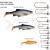 Savage Gear 3D LB Roach Paddle Tail Bulk