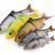 Savage Gear 3D LB Roach Swim & Jerk
