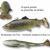Savage Gear 4D Pulsetail Trout