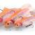 Savage Gear Lures 4D Rattle Trout