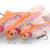 Savage Gear 4D Rattle Trout