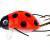 Wob-Art Esche Biedronka (Ladybird)