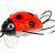 Wob-Art Esche Biedronka (Ladybird)