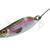 Jenzi Trout Spoon 3D