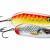Rapala Nauvo