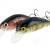 Microbait Esche Bumblebee