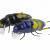 Microbait Esche Chafer