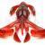 Keitech Esche Crazy Flapper