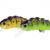 Microbait Esche Daisy