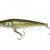 Dorado Esche Essox
