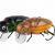 Microbait Esche Great Beetle