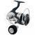 Daiwa Mulinelli 21 Certate SW