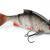 Storm Esche Live Kickin’ Shad