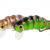 Microbait Esche Maggot