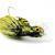 Imago Lures Esche Ant Big Mama