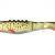 Dragon Soft baits Phantail