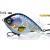 Molix Esche Jerkbaits Pike Jerk 105