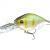 Prorex Esche Crankbait DR