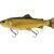Savage Gear 3D Line Thru Pulsetail Trout