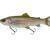 Savage Gear 3D Line Thru Pulsetail Trout