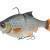 Savage Gear 3D Roach RTF Swim