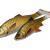 Savage Gear 4D River Roach